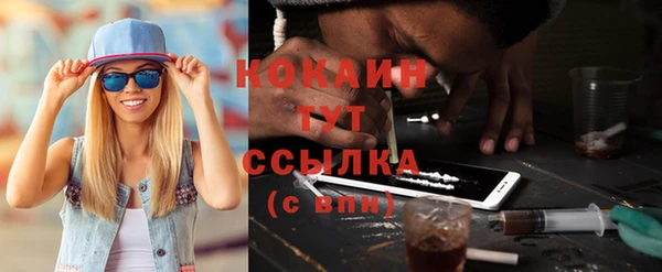 гашик Балахна