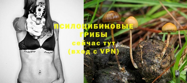 хмурый Баксан