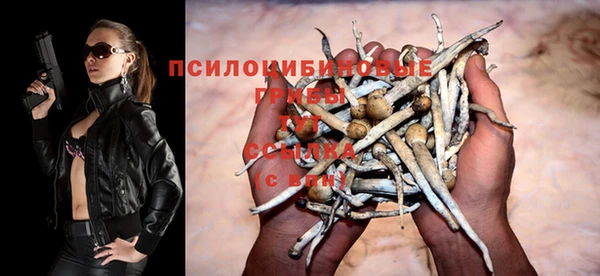 гашик Балахна