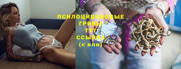 хмурый Баксан