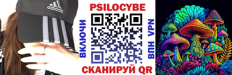 darknet состав  Ясногорск  Псилоцибиновые грибы MAGIC MUSHROOMS  купить  цена 